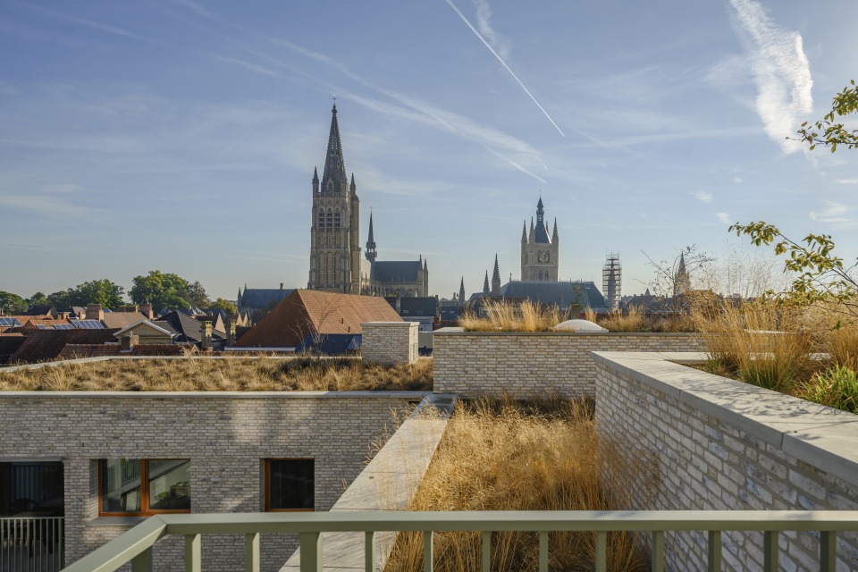 Panoramisch uitzicht op een aangelegd groendak met natuurlijke begroeiing en historische gebouwen op de achtergrond.