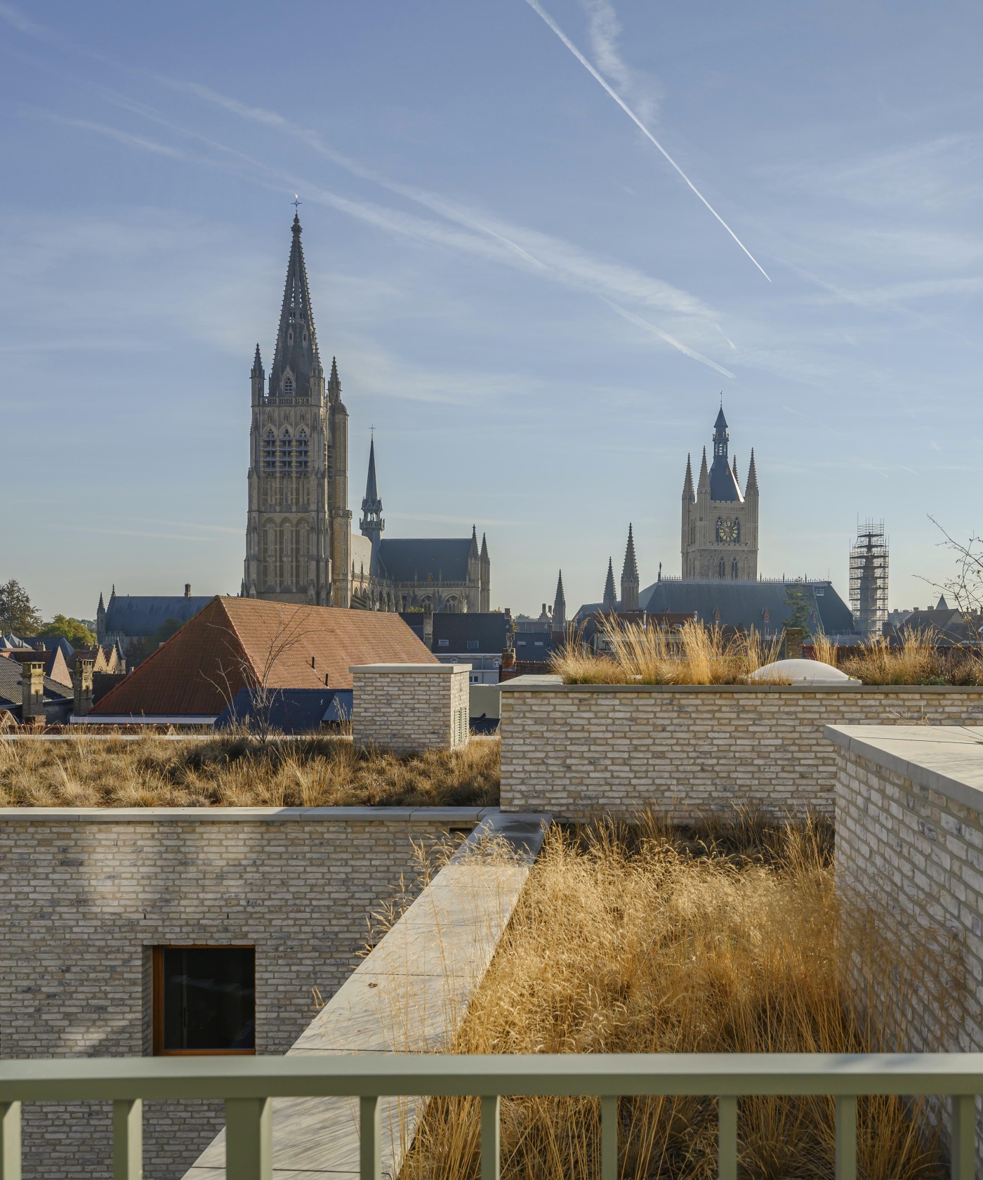 Duurzaam dak met vegetatie en zicht op stedelijke architectuur, symbool voor duurzaam regenwaterbeheer en ecologische innovatie