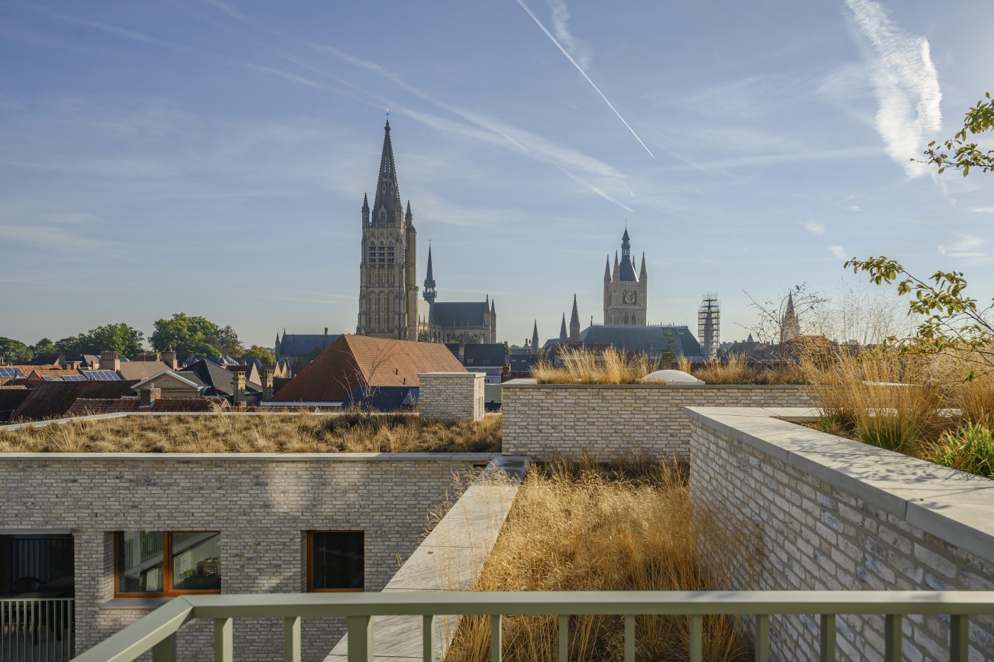 Duurzaam dak met vegetatie en zicht op stedelijke architectuur, symbool voor duurzaam regenwaterbeheer en ecologische innovatie